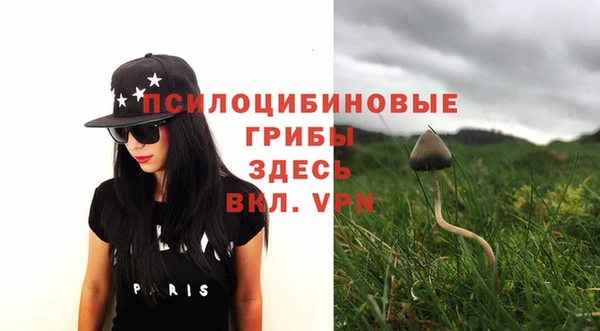 не бодяженный Елабуга