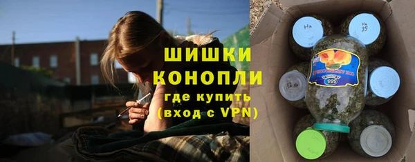 дживик Нефтегорск