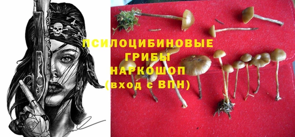 дурь Ельня
