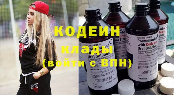 дурь Ельня