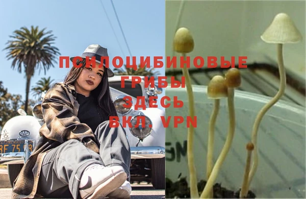 дурь Ельня