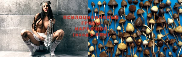 дживик Нефтегорск