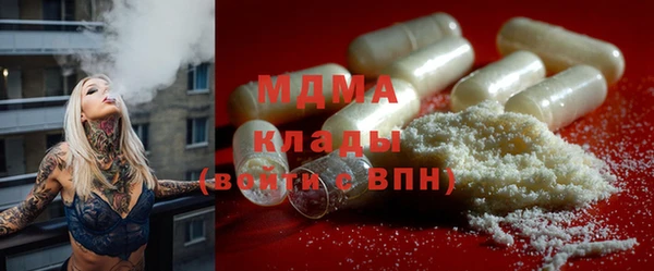дурь Ельня