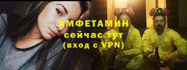 дурь Ельня