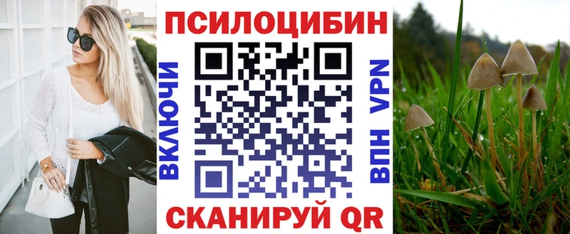 цены наркотик  Сальск  Псилоцибиновые грибы Psilocybe 