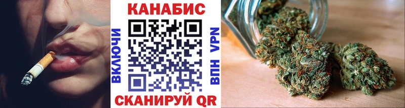 Канабис сатива  Сальск 